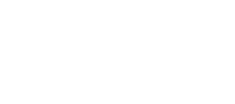 AL SHAMS Carton Boxes
